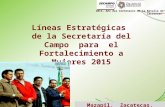 Mazapil, Zacatecas, Octubre de 2014 Líneas Estratégicas de la Secretaría del Campo para el Fortalecimiento a Mujeres 2015 2014, Año del Centenario de la.