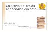 Colectivo de acción pedagógica docente Municipio Escolar Supervisión Educativa Noviembre de 2011.