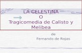 Los primeros textos teatrales LA CELESTINA O Tragicomedia de Calisto y Melibea de Fernando de Rojas.