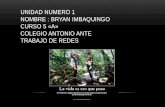 UNIDAD NUMERO 1 NOMBRE : BRYAN IMBAQUINGO CURSO 5 «A» COLEGIO ANTONIO ANTE TRABAJO DE REDES.