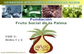 Fruto Social de la Palma Fundación .