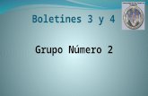 Boletines 3 y 4 Grupo Número 2. Expositor Carol Andrea Segura Silva.
