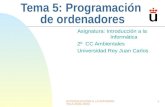 INTRODUCCIÓN A LA INFORMÁTICA 2002-20031 Tema 5: Programación de ordenadores Asignatura: Introducción a la Informática 2º CC Ambientales Universidad Rey.