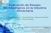 Evaluación de Riesgos Microbiológicos en la Industria Alimentaria Antonio Martínez, Consuelo Pina, Dolores Rodrigo, Clara Miracle Belda Instituto de Agroquímica.