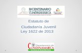 Estatuto de Ciudadanía Juvenil Ley 1622 de 2013.