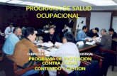 PROGRAMA DE SALUD OCUPACIONAL SUBPROGRAMA DE SEGURIDAD INDUSTRIAL PROGRAMA DE PROTECCION CONTRA CAIDAS CONTENIDO Y GESTION.
