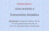 FISIOLOGIA I TEMA NUMERO 9 Transmisión Sináptica PROFESOR: Gregorio Tiskow, Ph.Sc. E-mail: gtiskow@ucla.edu.ve U.C.L.A. Barquisimeto, Venezuela.