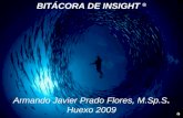 BITÁCORA DE INSIGHT ® Armando Javier Prado Flores, M.Sp.S. Huexo 2009.