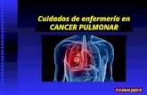 Cuidados de enfermería en CANCER PULMONAR E U Elena Jofré R.
