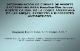 DETERMINACIÓN DE CURVAS DE MUERTE BACTERIANAS PARA Paenibacillus larvae, AGENTE CAUSAL DE LA LOQUE AMERICANA DE LAS ABEJAS, EXPUESTO A DIFERENTES ANTIBIÓTICOS.