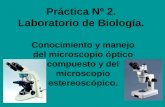 Práctica Nº 2. Laboratorio de Biología. Conocimiento y manejo del microscopio óptico compuesto y del microscopio estereoscópico.