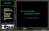AMDG El contexto: Análisis PEST Dr. Vicente Suárez  Objetivo...  Plataforma.  El contexto: análisis.  Síntesis.  ¿Conclusión? AMDG.