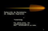 1 Detección de Movimiento en Imágenes Digitales “tracking” Por: Héctor Duque MISC - Universidad de Los Andes.
