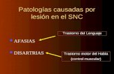 Patologías causadas por lesión en el SNC AFASIAS DISARTRIAS Trastorno motor del Habla (control muscular) Trastorno del Lenguaje.