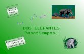 DOS ELEFANTES Pasatiempos… Letra y Música Patti Lozano Presentación Y Extensión Jeanine Carr.