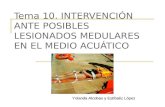 Tema 10. INTERVENCIÓN ANTE POSIBLES LESIONADOS MEDULARES EN EL MEDIO ACUÁTICO Yolanda Alcobas y Estíbaliz López.