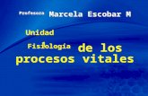 Chapter 1 1 Unidad 1 Profesora Marcela Escobar M Fisiología de los procesos vitales.