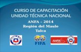 CURSO DE CAPACITACIÓN UNIDAD TÉCNICA NACIONAL ANFA – 2014 Región del Maule Talca.