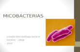 MICOBACTERIAS Cátedra Microbiología General FACENA – UNNE 2014.