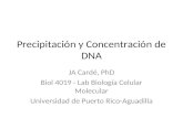 Precipitación y Concentración de DNA JA Cardé, PhD Biol 4019 - Lab Biología Celular Molecular Universidad de Puerto Rico-Aguadilla.