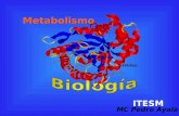Aldolasa Metabolismo ITESM MC Pedro Ayala. Metabolismo Intermedio Suma de reacciones enzimáticas que tienen lugar en la célula. Actividad en la que participan.
