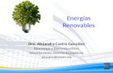 Energías Renovables Dra. Alejandra Castro González Bioenergía y Biocombustibles Departamento Sistema Energéticos alcastro@unam.mx.