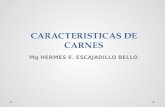 CARACTERISTICAS DE CARNES Mg HERMES E. ESCAJADILLO BELLO.