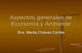 Aspectos generales de Economía y Ambiente Dra. Marta Chávez Cortés Ambiente Economía.