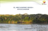 EL MECANISMO REDD+ EN ECUADOR María del Carmen García Ministerio del Ambiente Subsecretaría de Cambio Climático 04 de julio, 2012.