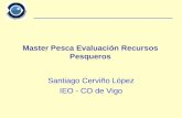 Master Pesca Evaluación Recursos Pesqueros Santiago Cerviño López IEO - CO de Vigo.