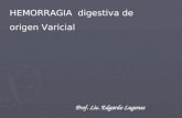 HEMORRAGIA digestiva de origen Varicial HEMORRAGIA digestiva de origen Varicial Prof. Lic. Edgardo Lugones.