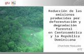 21.04.2015 Seite 1 Reducción de las emisiones producidas por deforestación y degradación forestal en Centroamérica y la República Dominicana Charlotte.