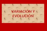 VARIACIÓN Y EVOLUCIÓN. DISTINGUIENDO HECHOS DE HIPÓTESIS.