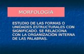 MORFOLOGÍA ESTUDIO DE LAS FORMAS O UNIDADES ESTRUCTURALES CON SIGNIFICADO. SE RELACIONA CON LA ORGANIZACIÓN INTERNA DE LAS PALABRAS.