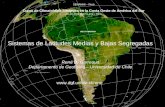 Sistemas de Latitudes Medias y Bajas Segregadas René D. Garreaud Departamento de Geofísica – Universidad de Chile  SENAMHI – Perú.