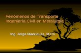 Fenómenos de Transporte Ingeniería Civil en Metalurgia Ing. Jorge Manríquez, M.Cs.
