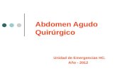 Abdomen Agudo Quirúrgico Unidad de Emergencias HC. Año - 2012.