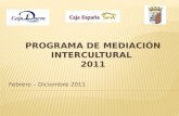 Febrero – Diciembre 2011. Programa de mediación intercultural 2011 2  Debido a las carencias que se detectaban en la comunidad gitana en diversas áreas.
