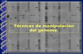 Técnicas de manipulación del genoma.. Pero,¿qué necesitaremos recordar?