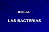 UNIDAD I LAS BACTERIAS. OBJETIVO Identificar las características morfológicas y fisiológicas de las bacterias.
