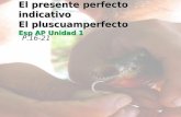 El presente perfecto indicativo El pluscuamperfecto Esp AP Unidad 1 P.16-21.