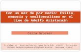 Carla Grosman Con un mar de por medio: Exilio, memoria y neoliberalismo en el cine de Adolfo Aristarain En Colmeiro, José and Wendy Lynn Zaza Eds. (2015).