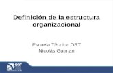 Definición de la estructura organizacional Escuela Técnica ORT Nicolás Gutman.