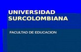 UNIVERSIDAD SURCOLOMBIANA FACULTAD DE EDUCACION. PROFESOR WISBERTO NAVARRO DEPARTAMENTO DE SICOPEDAGOGIA.