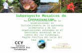 Hacia la conservación de la biodiversidad, el fortalecimiento de la autonomía alimentaria y de las organizaciones autónomas en el territorio ancestral.