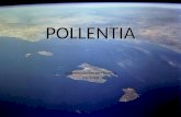POLLENTIA La romanización POLLENTIA La romanización de Hispania Mallorca.