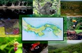 Evaluación Cualitativa de la Vulnerabilidad de los Ecosistemas al Cambio Climático en Panamá A Qualitative Assessment of Ecosystem Vulnerability to Climate.