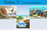 Tema 5 Los ecosistemas. 5.1. Los ecosistemas Las necesidades de los seres vivos son distintas. Por ejemplo, los helechos necesitan vivir en lugares con.