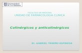 FACULTAD DE MEDICINA UNIDAD DE FARMACOLOGIA CLINICA Colinérgicos y anticolinérgicos Dr. GABRIEL TRIBIÑO ESPINOSA.