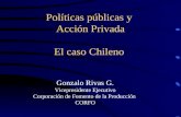 Políticas públicas y Acción Privada El caso Chileno Gonzalo Rivas G. Vicepresidente Ejecutivo Corporación de Fomento de la Producción CORFO.